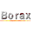 Ｂｏｒａｘ (experiment)