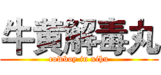 牛黄解毒丸 (cowboy in xihu)