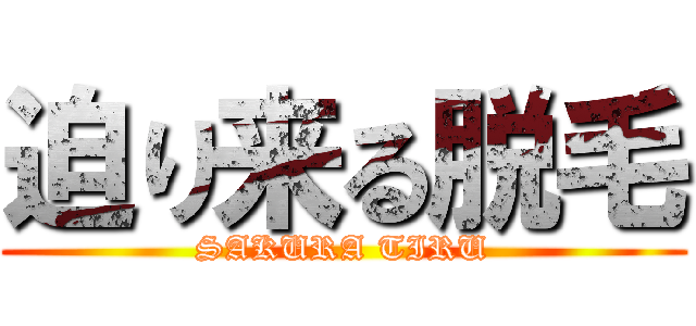 迫り来る脱毛 (SAKURA TIRU)