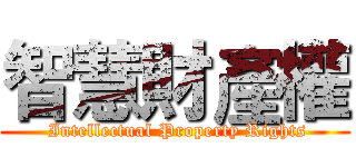 智慧財產權 ( Intellectual Property Rights)