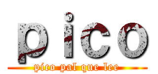 ｐｉｃｏ (pico pal que lee)