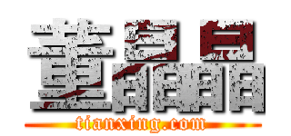 董晶晶 (tianxing.com)