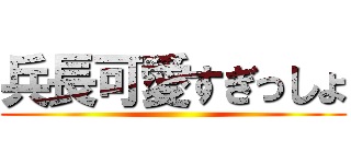 兵長可愛すぎっしょ ()