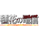 種花の電信 (Flowers Full Telecom)