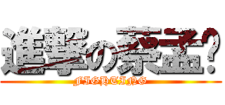 進撃の蔡孟縈 (FIGHTING)