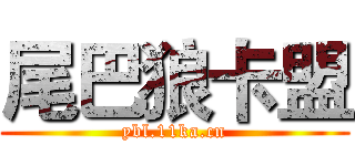 尾巴狼卡盟 (ybl.11ka.cn)