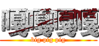 嘎嘎嘎嘎 (big pig pig)