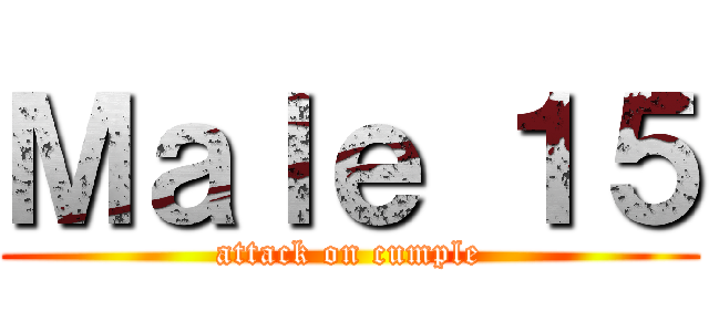 Ｍａｌｅ １５ (attack on cumple)