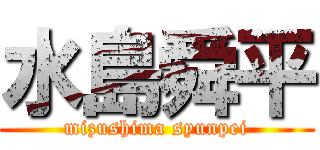 水島舜平 (mizushima syunpei)