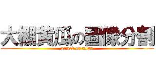 大棚黄瓜の圖像分割 (attack on titan)