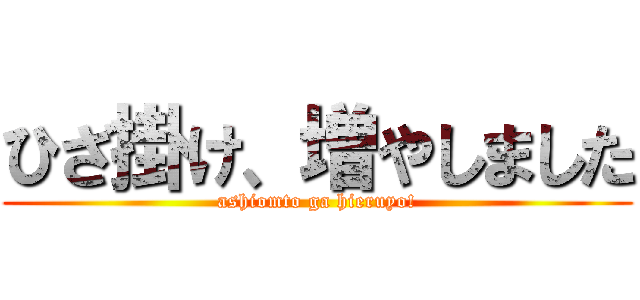 ひざ掛け、増やしました (ashiomto ga hieruyo!)