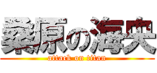 桑原の海央 (attack on titan)