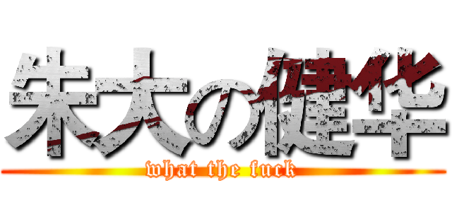 朱大の健华 (what the fuck)