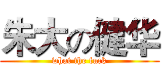 朱大の健华 (what the fuck)