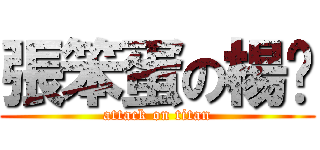 張笨蛋の楊奶 (attack on titan)