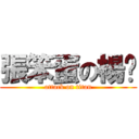 張笨蛋の楊奶 (attack on titan)