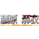 藤原 麻衣 (attack on titan)