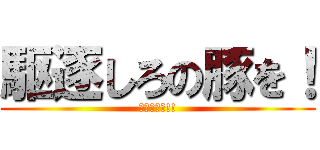 駆逐しろの豚を！ (消せぇぇぇ!!)