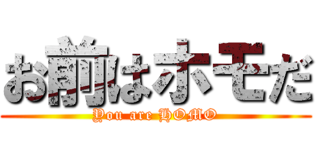 お前はホモだ (You are HOMO)