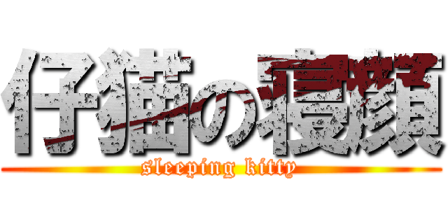 仔猫の寝顔 (sleeping kitty)