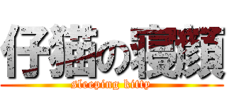 仔猫の寝顔 (sleeping kitty)