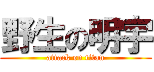 野生の明宇 (attack on titan)
