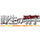 野生の明宇 (attack on titan)