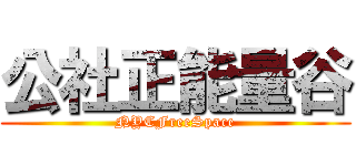 公社正能量谷 (NYCFreeSpace)
