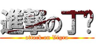 進撃の丁伟 (attack on Vigra)