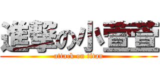 進撃の小萱萱 (attack on titan)