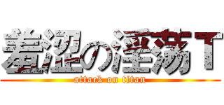 羞涩の淫荡Ｔ (attack on titan)