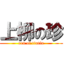 上柳の珍 (ren of tintin)