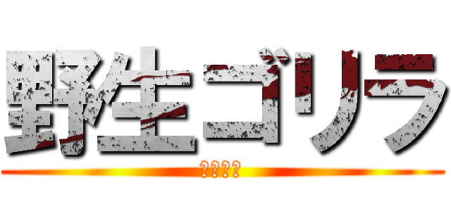 野生ゴリラ (イケメン)