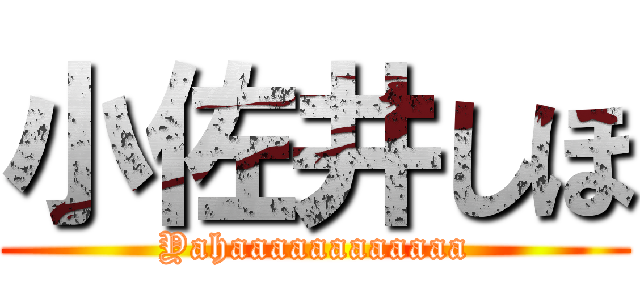 小佐井しほ (Yahaaaaaaaaaaaa)