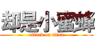 却是小蜜蜂 (attack on titan)