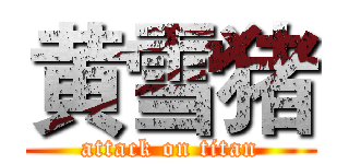 黄雪猪 (attack on titan)