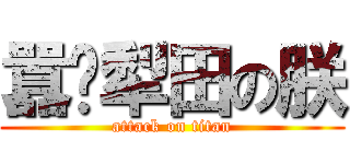 囂坯犁田の朕 (attack on titan)