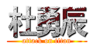 杜勇辰 (attack on titan)