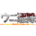 ウニ駆除 (OneTeam)