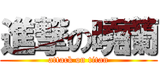 進撃の曉蘭 (attack on titan)