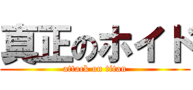 真正のホイド (attack on titan)