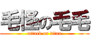 毛怪の毛毛 (attack on titan)