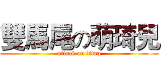 雙馬尾の萌琦兒 (attack on titan)