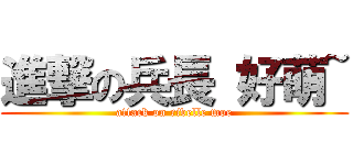進撃の兵長 好萌~ (attack on rivelle moe)