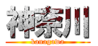 神奈川 (kanagawa)