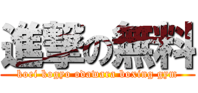 進撃の無料 (koei kogyo odawara boxing gym)