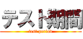 テスト期間 (test period)