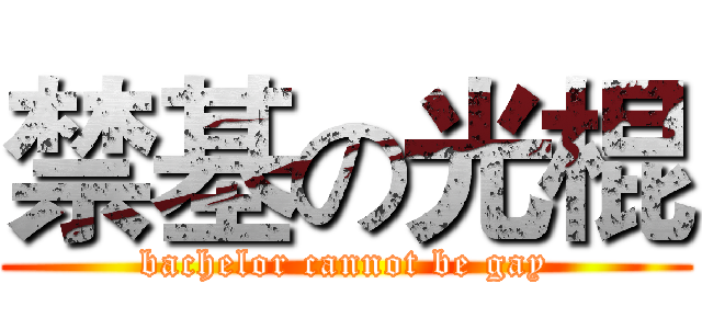 禁基の光棍 (bachelor cannot be gay)