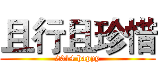 且行且珍惜 (2014 happy)