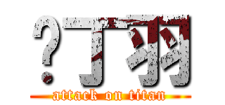 咘丁羽 (attack on titan)